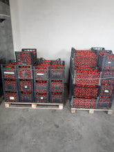 Carica l'immagine nel visualizzatore di Gallery, Pelato del contadino 24 Vasi da 580 gr - OLIO CIAVATTA