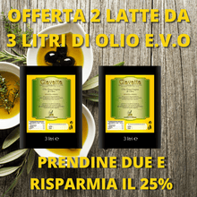 Carica l'immagine nel visualizzatore di Gallery, OLIO EXTRA Vergine di oliva in offerta