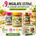 9 Vasi di Insalate Estive di Legumi Decorticati da 300 gr