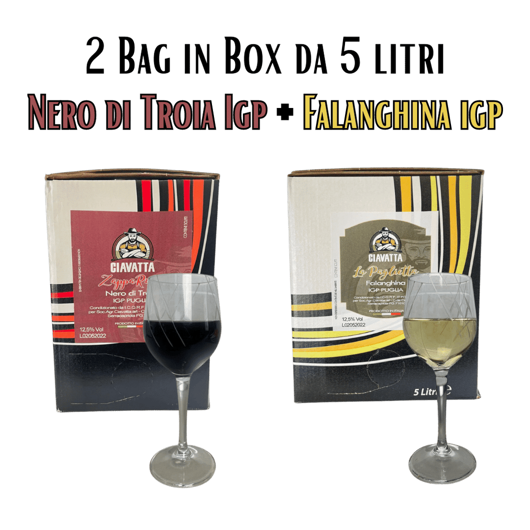2 Bag In Box Vino del Contadino - Nero di Troia e Falanghina da 5 litri